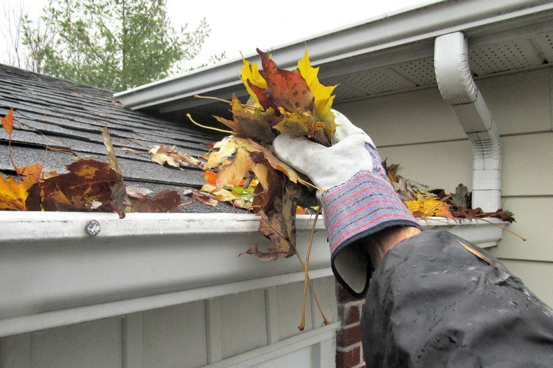 Gutter Pine Needle Removal in Pittsburgh, PA