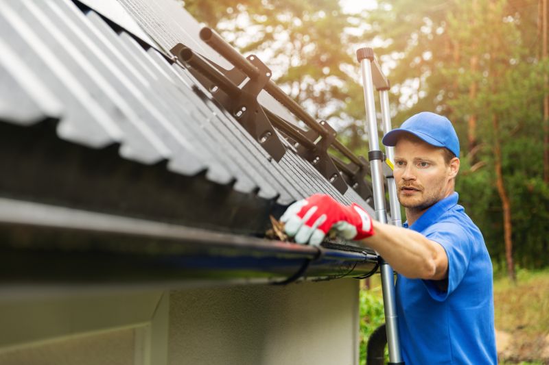 Gutter and Eaves Cleaning